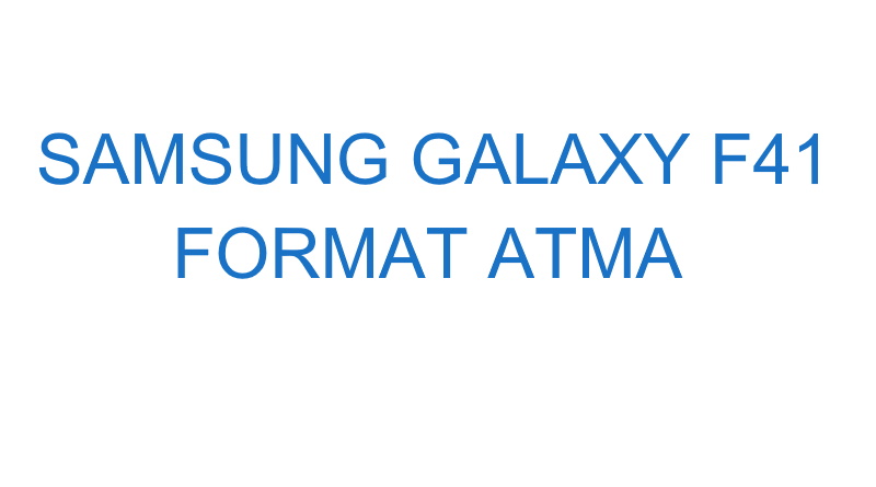 Samsung Galaxy F41 Format